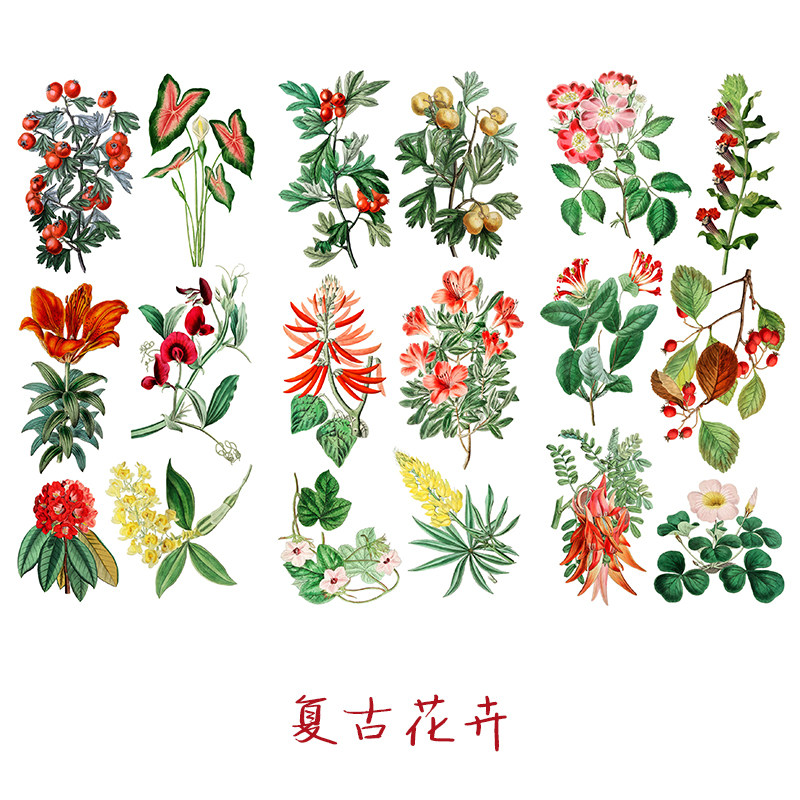 复古花卉手帐贴纸花草装饰防水贴画素材花朵手帐本diy和纸组合贴