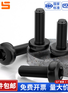 NS 黑色304不锈钢盘头梅花防盗螺丝钉GB2672圆头螺栓加长螺杆