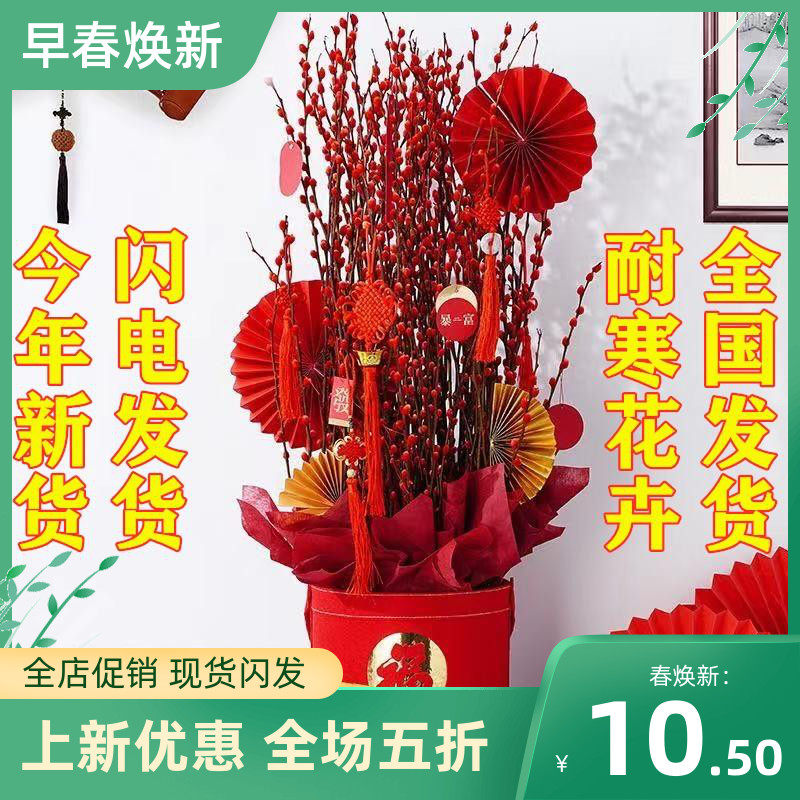 银柳价格 银柳图片 星期三