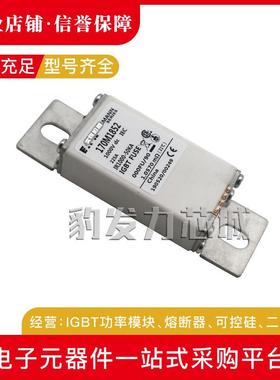 170M2758/2759/2760/2761/2762/2763-2771 3688 3738 3747熔断器