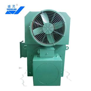 盛灵供应YKK6301 定制高压电机切屑机床电机 2高压三相异步电动机