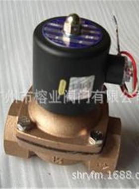 YCDF-15-20-25-32-40-50音乐喷泉电磁阀 潜水 防水 水下用