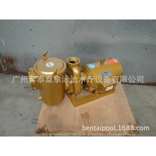 10HP 美国LEESON铜泵 泳池设备 泳池过滤循环铜泵 380V 利森铜泵