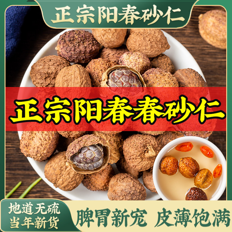 春砂仁正宗阳春春砂仁茶粉阳春特产中药材非野生沙果仁干养胃100g