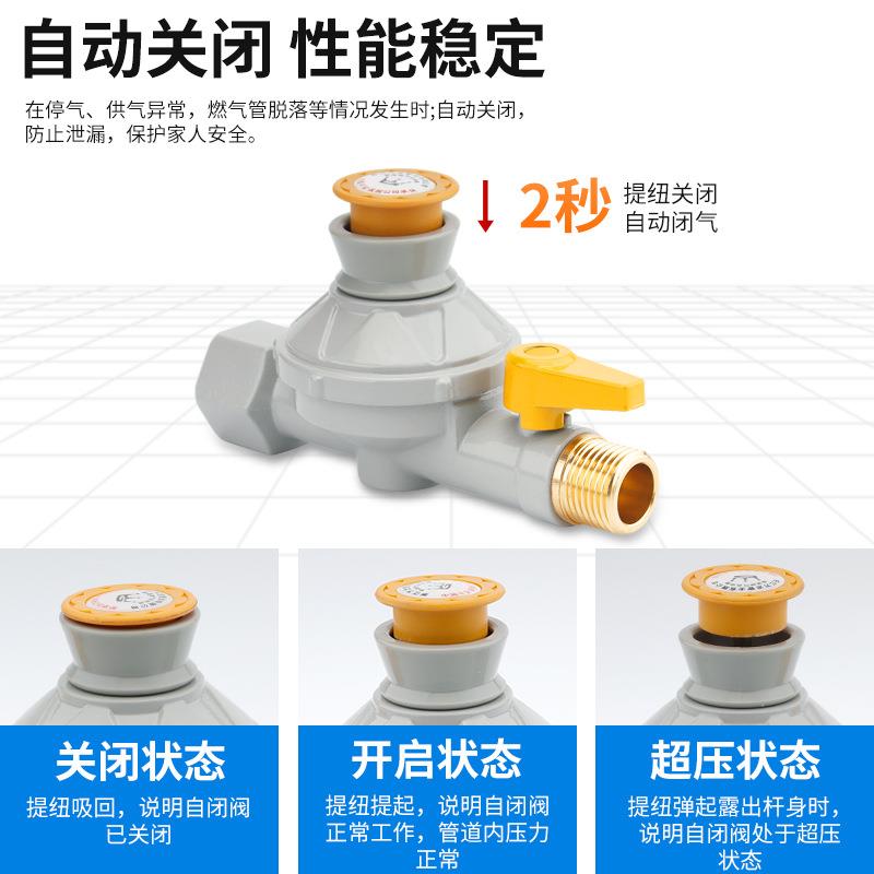 家用燃气管道自闭阀天然气漏气自动断气燃气灶超压欠压安全保护阀