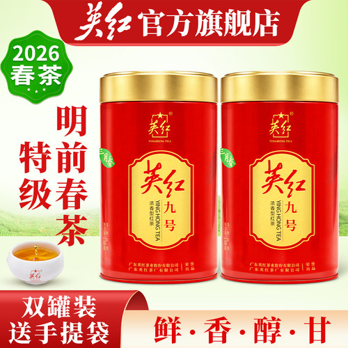 春茶 大份量138g/罐 英红九号特级春茶