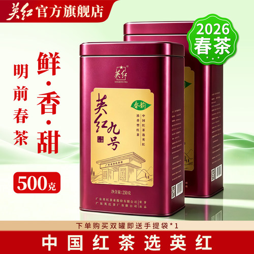 春茶 大份量250g/罐 英红九号春茶