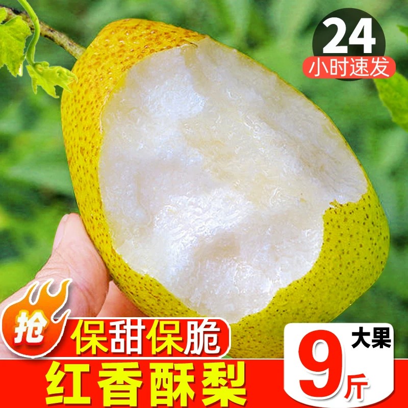 【5A特级】精品红香酥梨包甜
