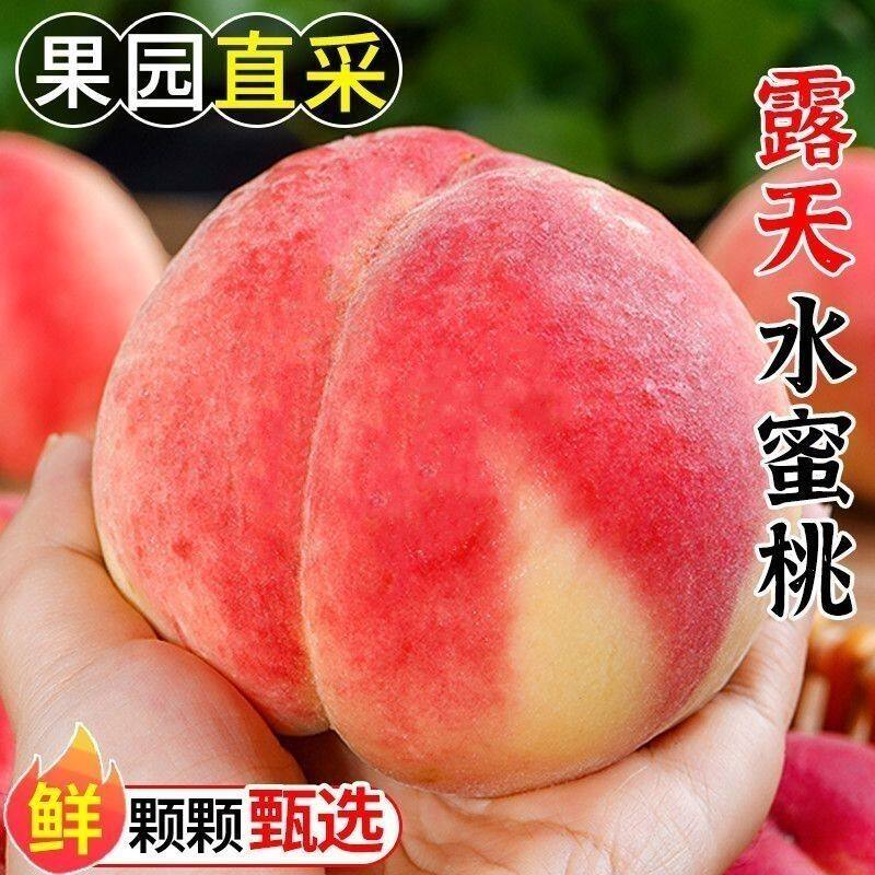 山西脆蜜桃水蜜桃新鲜水果当季孕妇时令应当季毛桃子大桃子整箱10