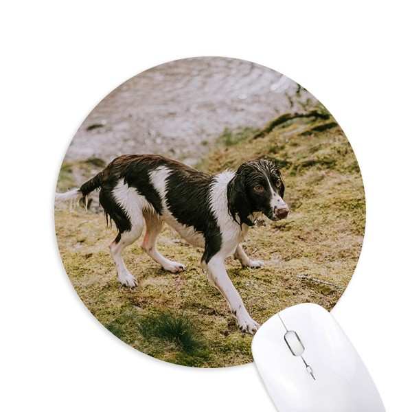 狗宠物孤独夜晚圆形游戏办公防滑橡胶鼠标垫礼物定制胶垫定做,电脑硬件/显示器/电脑周边,鼠标垫/贴/腕垫,淘宝优惠券,粉丝福利购,淘宝优惠卷