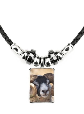 摄影图片饰品合金礼物吊坠