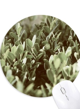 阳光叶子图片圆形游戏办公防滑橡胶鼠标垫礼物定制胶垫定做