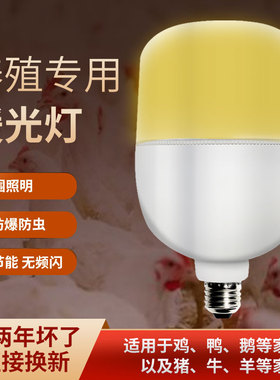 led黄光灯泡养殖场e27螺口防水防尘防虫补光养鸡场暖光专用照明灯