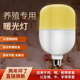 led黄光灯泡养殖场e27螺口防水防尘防虫补光养鸡场暖光专用照明灯
