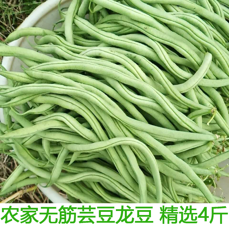 新鲜蔬菜架豆王豆角无筋芸豆龙豆现摘现发包邮湖北农家自种豆角