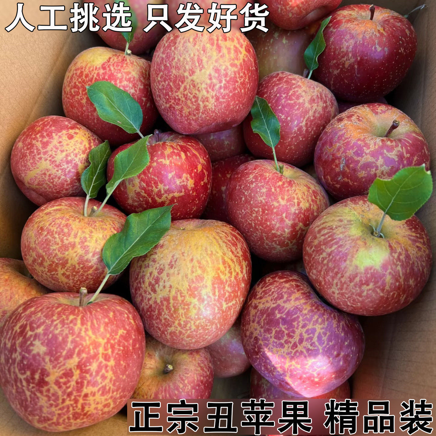 正宗丑苹果新鲜当季现摘孕妇水果红富士冰糖心整箱精选大果图片