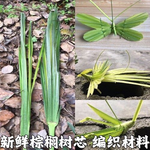 新鲜棕榈树叶编制玫瑰花棕编玫瑰花棕编材料玫瑰花婚庆手捧花包邮