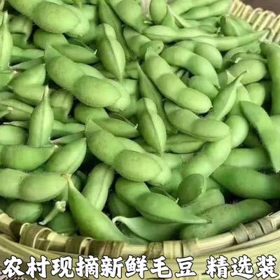 新鲜现摘农家现剥毛豆粒蔬菜料理冷冻嫩毛豆米生青豆粒包邮