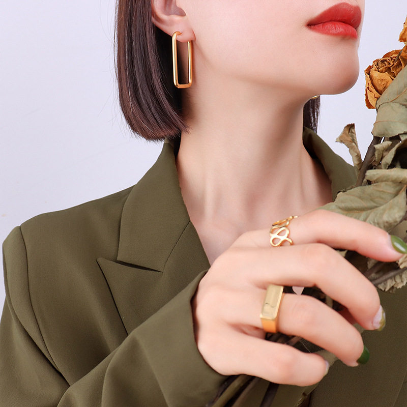 精致气质耳环小众设计个性时尚耳钉钛钢都镀18k金高端首饰配饰女