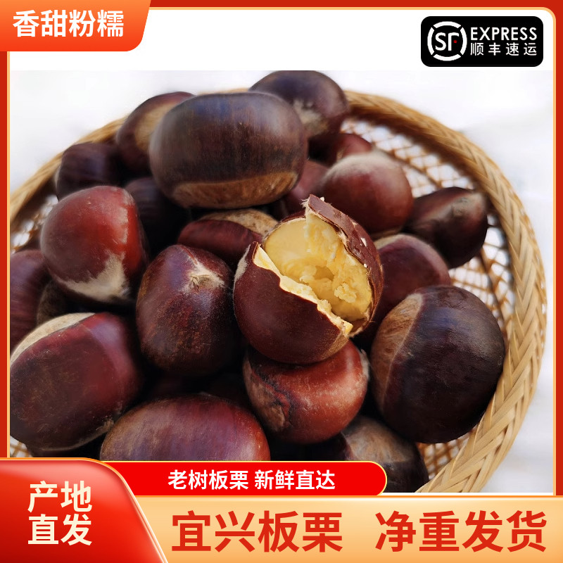 正宗宜兴新鲜大板栗铁栗头图片