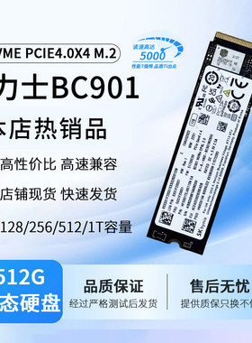 海力士BC901 BC501 BC511 PC801 BC711 512G M2笔记本电脑硬盘SSD