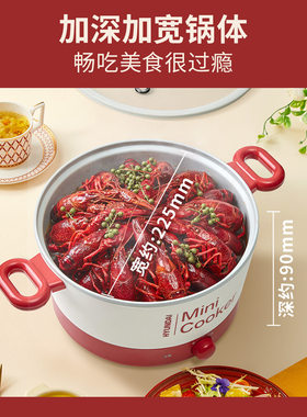 3L电煮锅一体锅多功能小