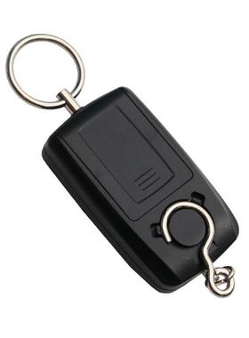 威衡weiheng 电子手提秤 45kg 双精度电子称 快递包裹带夜光