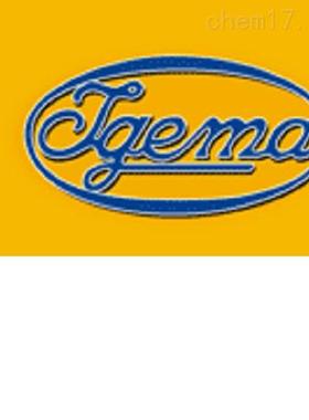 依格玛igema液位计EL22优势供货，全系列