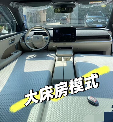 TOYOTA丰田铂智3X拉丝充气床汽车不塌陷高承重不漏气环保