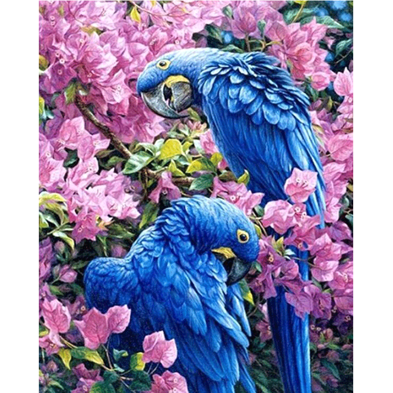 diy花鸟动物鹦鹉手绘填充油彩画