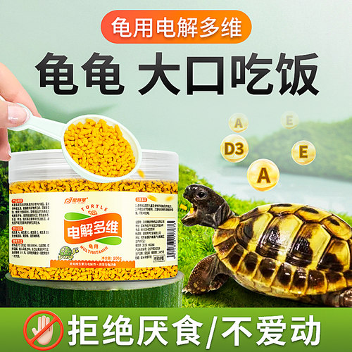 乌龟用电解质多维，助龟成长