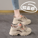 显脚小码 春季 2025年新款 34运动鞋 超火炸街爆款 厚底真皮老爹鞋 女鞋
