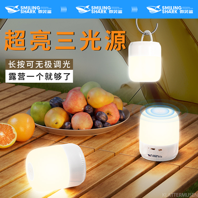 【露营照明灯氛围灯】小夜灯