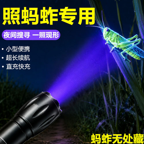 照蚂蚱专用395nm紫外线灯可充电