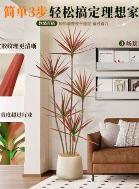 仿真绿植千年木红色高端轻奢大型客厅落地摆件龙血树仿生盆栽假树