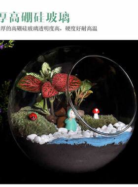 （团体搭配套餐）微景观生态玻璃瓶多肉苔藓DIY材料包件套餐活动
