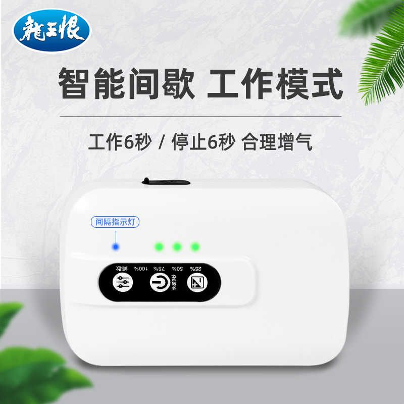 龙王恨增氧泵小体积大气量家用养鱼垂钓两用便携式打氧泵双氧气管图片