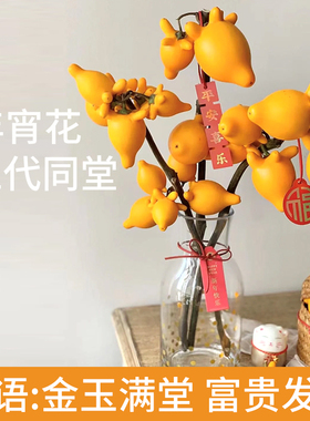 五代果鲜切五代同堂黄金果花束鲜花家用插花鲜切花真花绿植物花卉