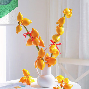 五代同堂黄金果鲜切枝水培植物招财鲜花喜庆年宵花插花客厅养室内
