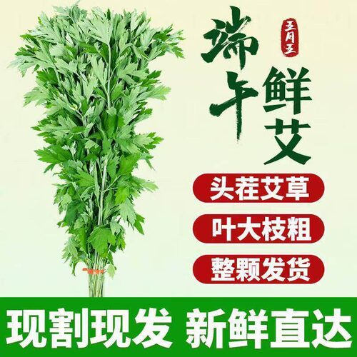 端午节新鲜艾叶草沐浴门挂泡澡花束diy材料包菖蒲挂饰香量大优惠