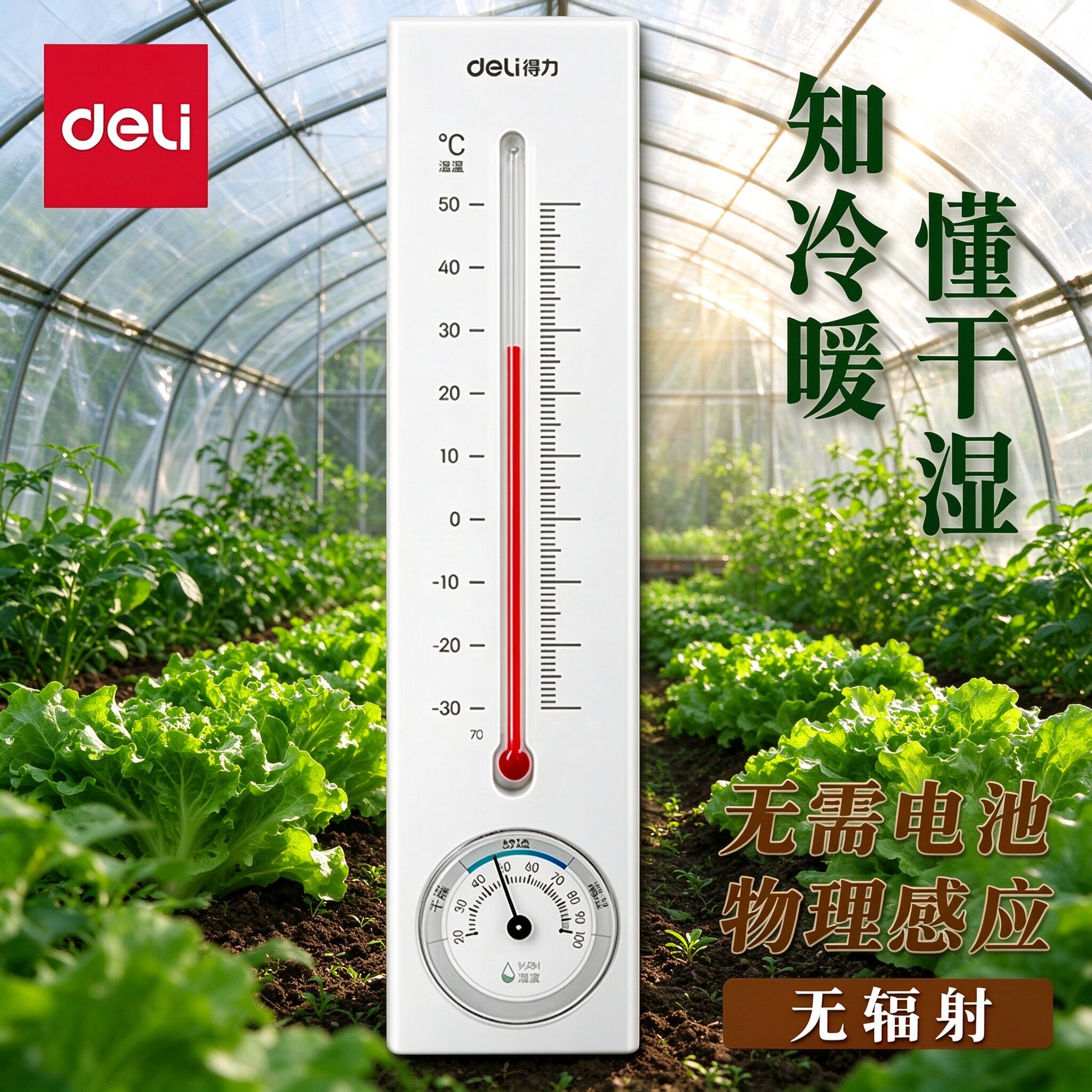 得力温湿度计壁挂式家用温度干湿度表悬挂药店大棚仓库室内外包邮