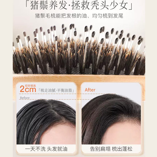 猪鬃气垫顺发家用卷囊梳