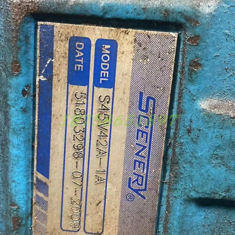 SCENERY双联叶片泵S3520V35AY5-1AD