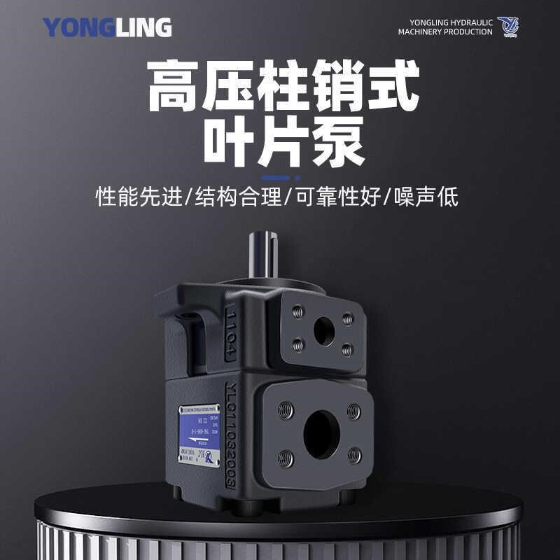 YLC永灵叶片泵T6C-00m8/012/014/017/020/025/028-1R00油泵 A1 C1