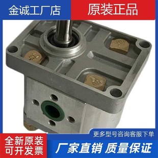 310 306 314 316 325天津液压Z瑞克齿轮泵 油泵液压CBT 320 E304