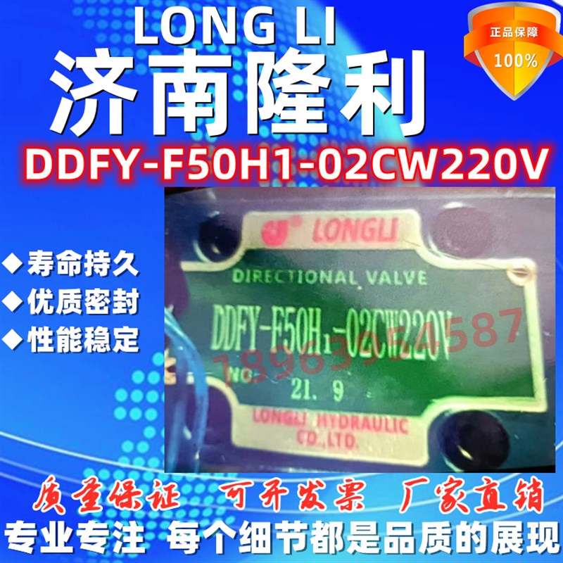 LONG LI 济南隆力液压   tDDFY-F50H1-02CW220V   厂家直销