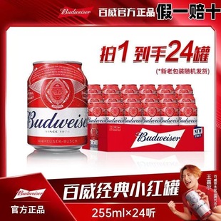 Budweiser/百威迷你小罐255ml经典醇正红罐拉格黄啤酒整箱畅饮