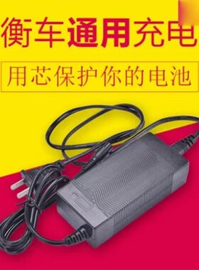 凤凰平衡车两轮电动平衡车双轮儿童体感车通用充电器