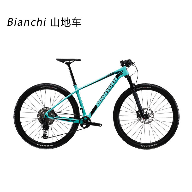 bianchi 碳纤维山地车nitron型号29寸越野XC车架148开档碟刹桶轴