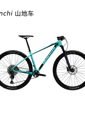 bianchi 碳纤维山地车nitron型号29寸越野XC车架148开档碟刹桶轴